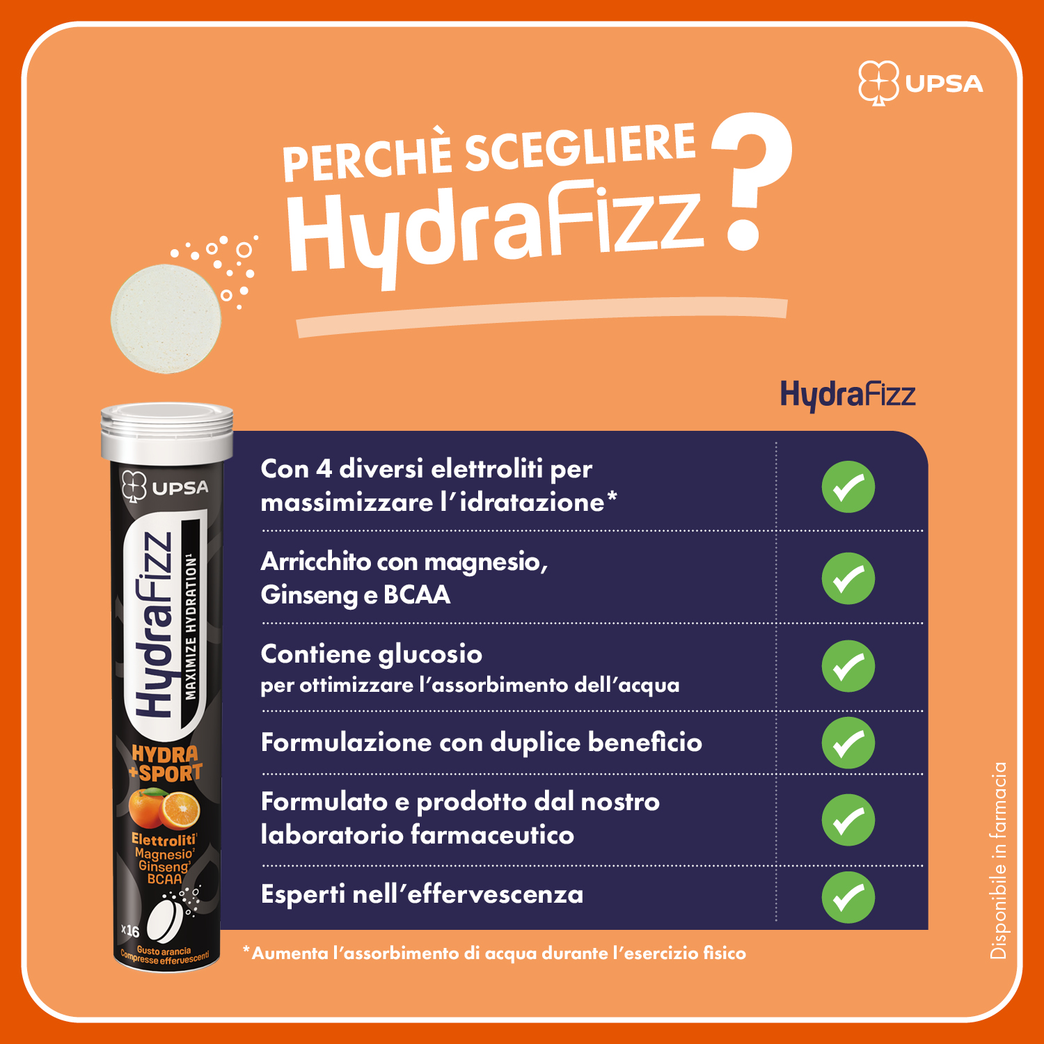 HYDRA SPORT 1500x1500 IT2